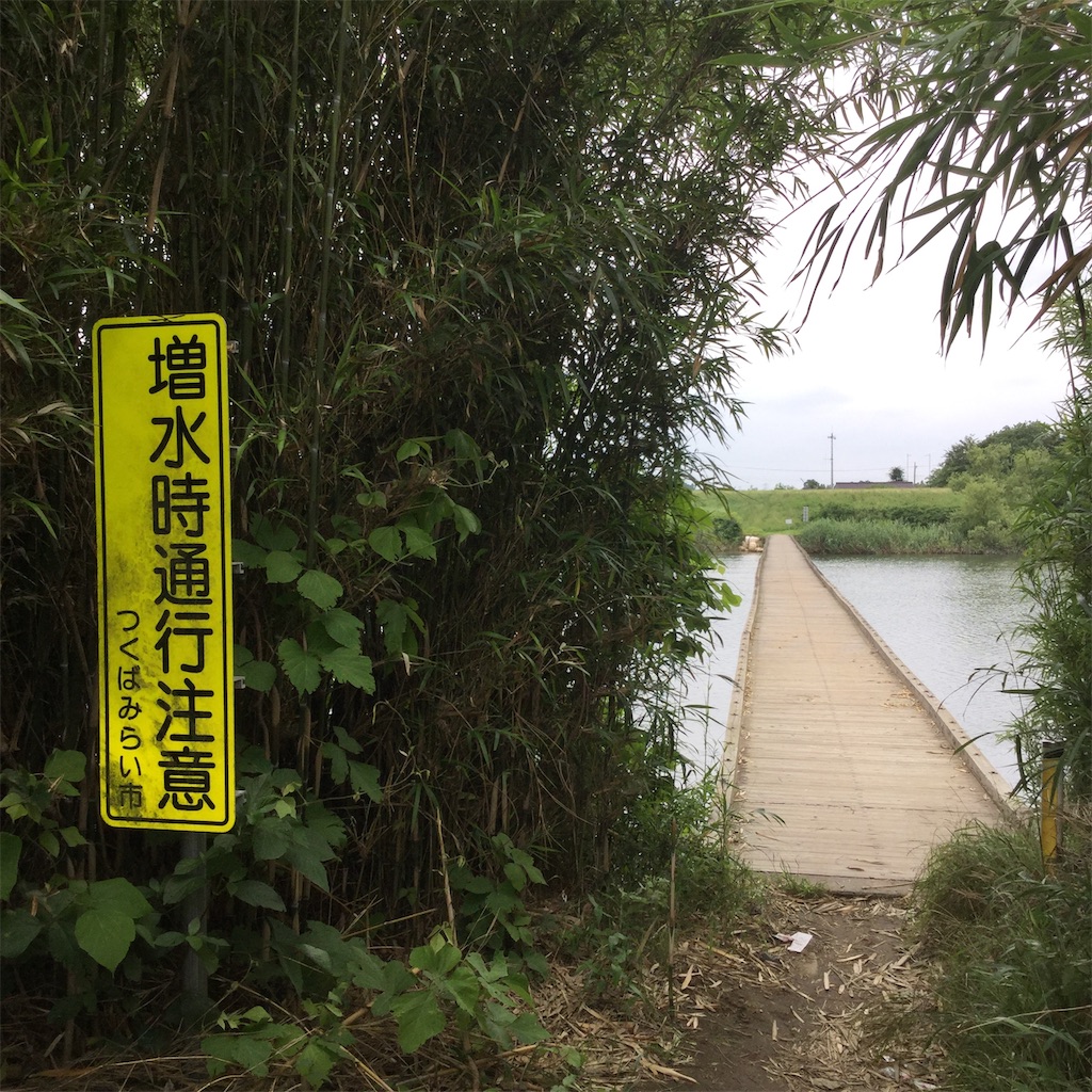 f:id:tsumetaimizuburo:20190712001609j:image f:id:tsumetaimizuburo:20190712001609j:image