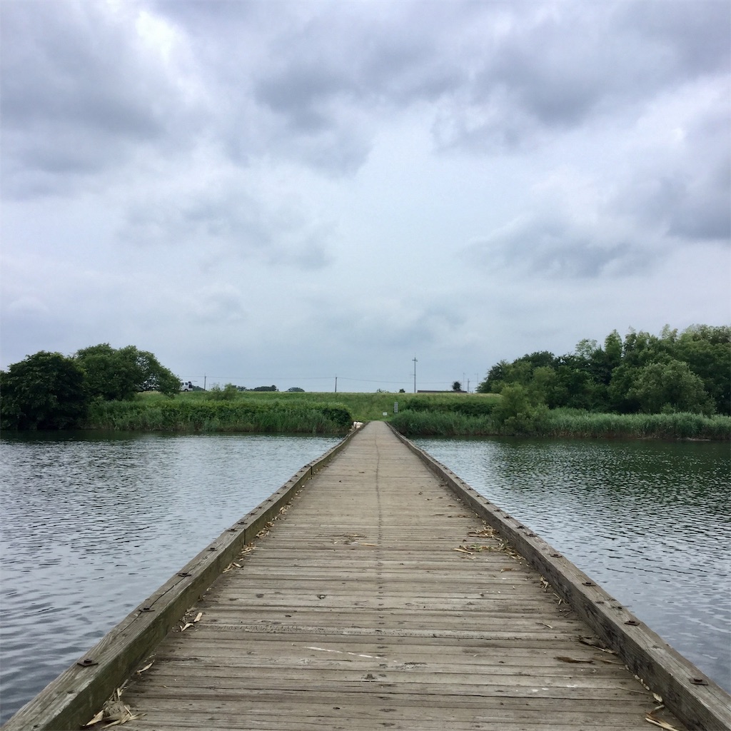 f:id:tsumetaimizuburo:20190712002105j:image f:id:tsumetaimizuburo:20190712002105j:image