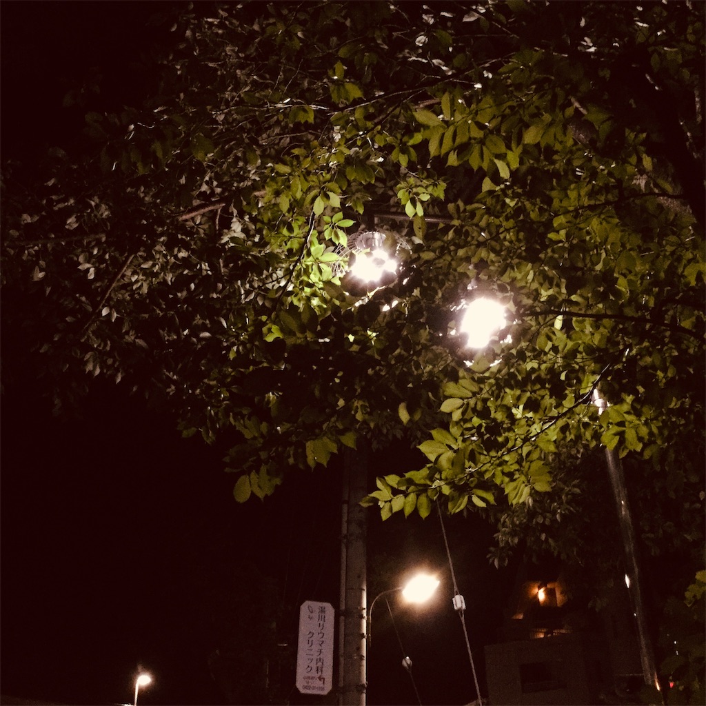 f:id:tsumetaimizuburo:20190725000033j:image f:id:tsumetaimizuburo:20190725000033j:image