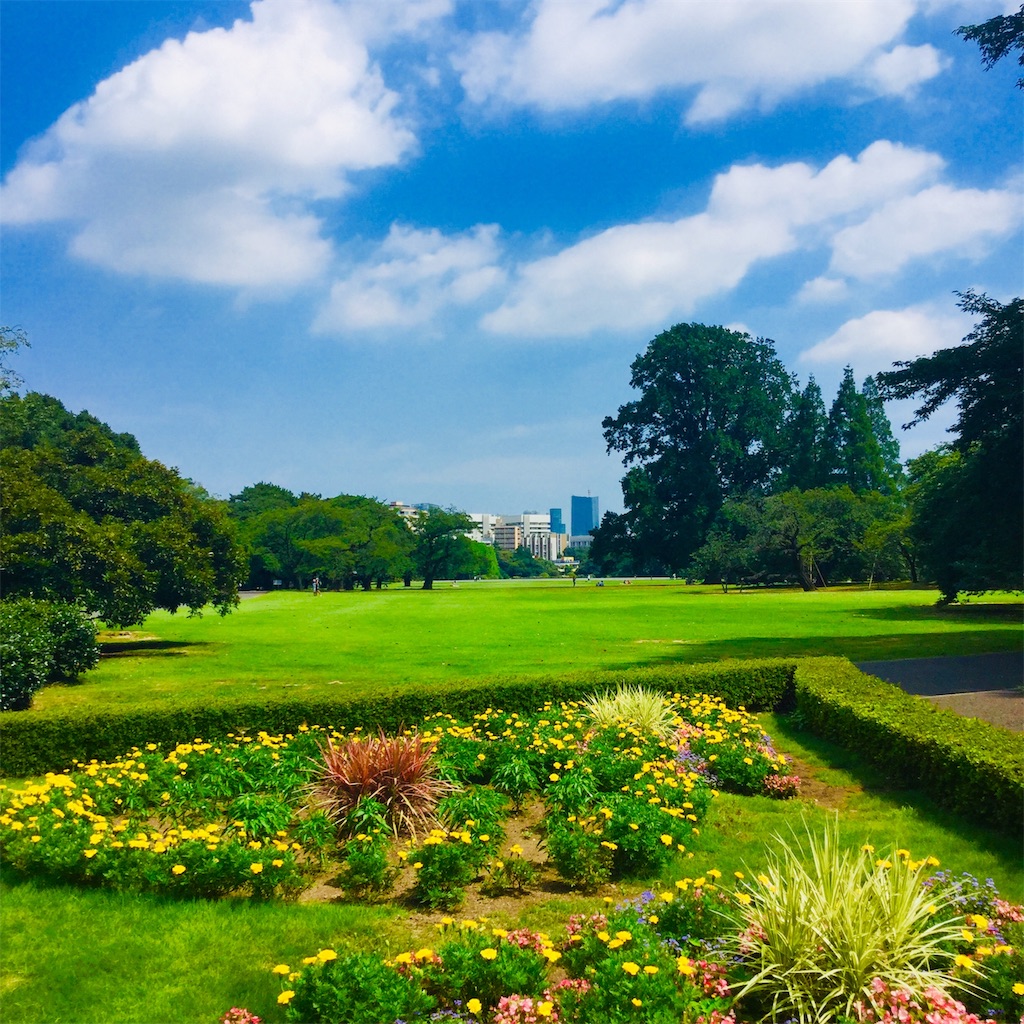 f:id:tsumetaimizuburo:20190810230839j:image