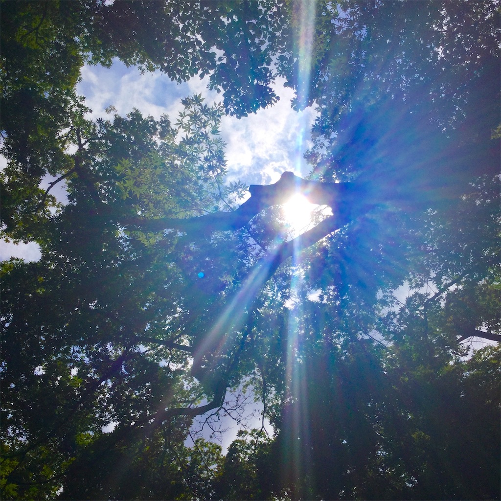 f:id:tsumetaimizuburo:20190810231332j:image