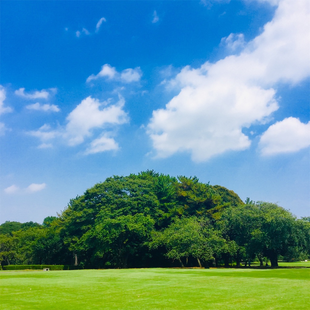 f:id:tsumetaimizuburo:20190810231658j:image