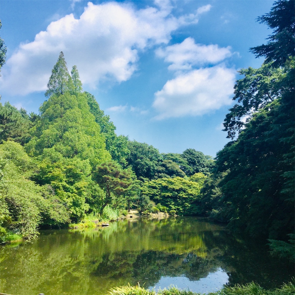 f:id:tsumetaimizuburo:20190810232721j:image