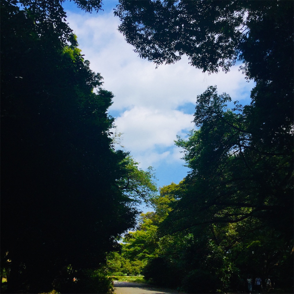 f:id:tsumetaimizuburo:20190810234023j:image