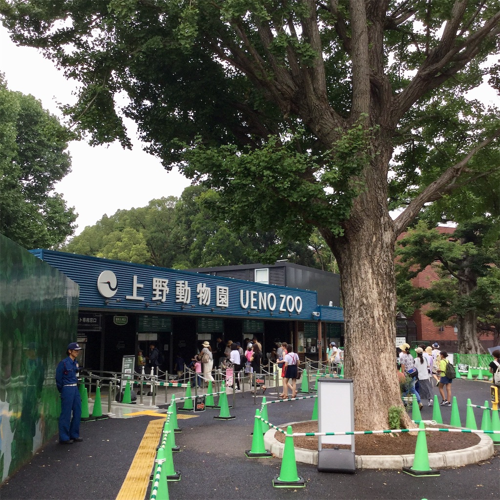 f:id:tsumetaimizuburo:20190827220519j:image