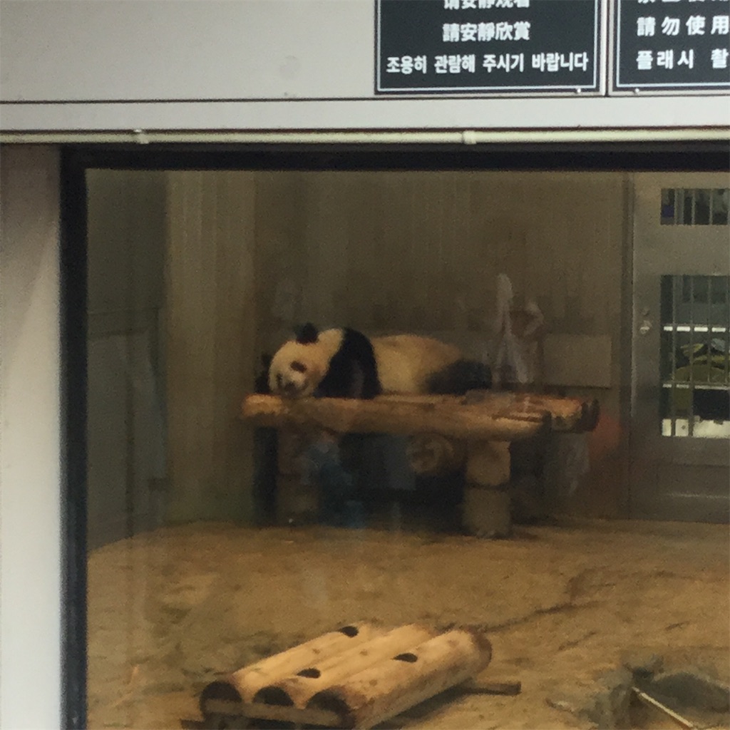 f:id:tsumetaimizuburo:20190827220801j:image