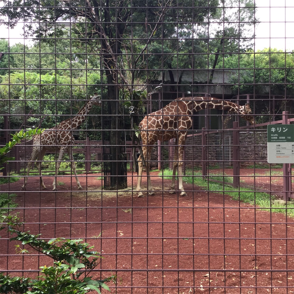 f:id:tsumetaimizuburo:20190827221526j:image