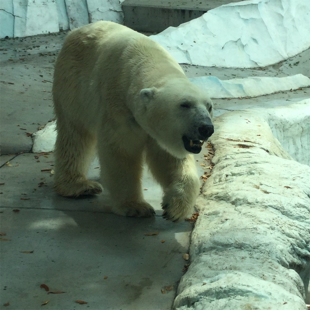 f:id:tsumetaimizuburo:20190827221639j:image