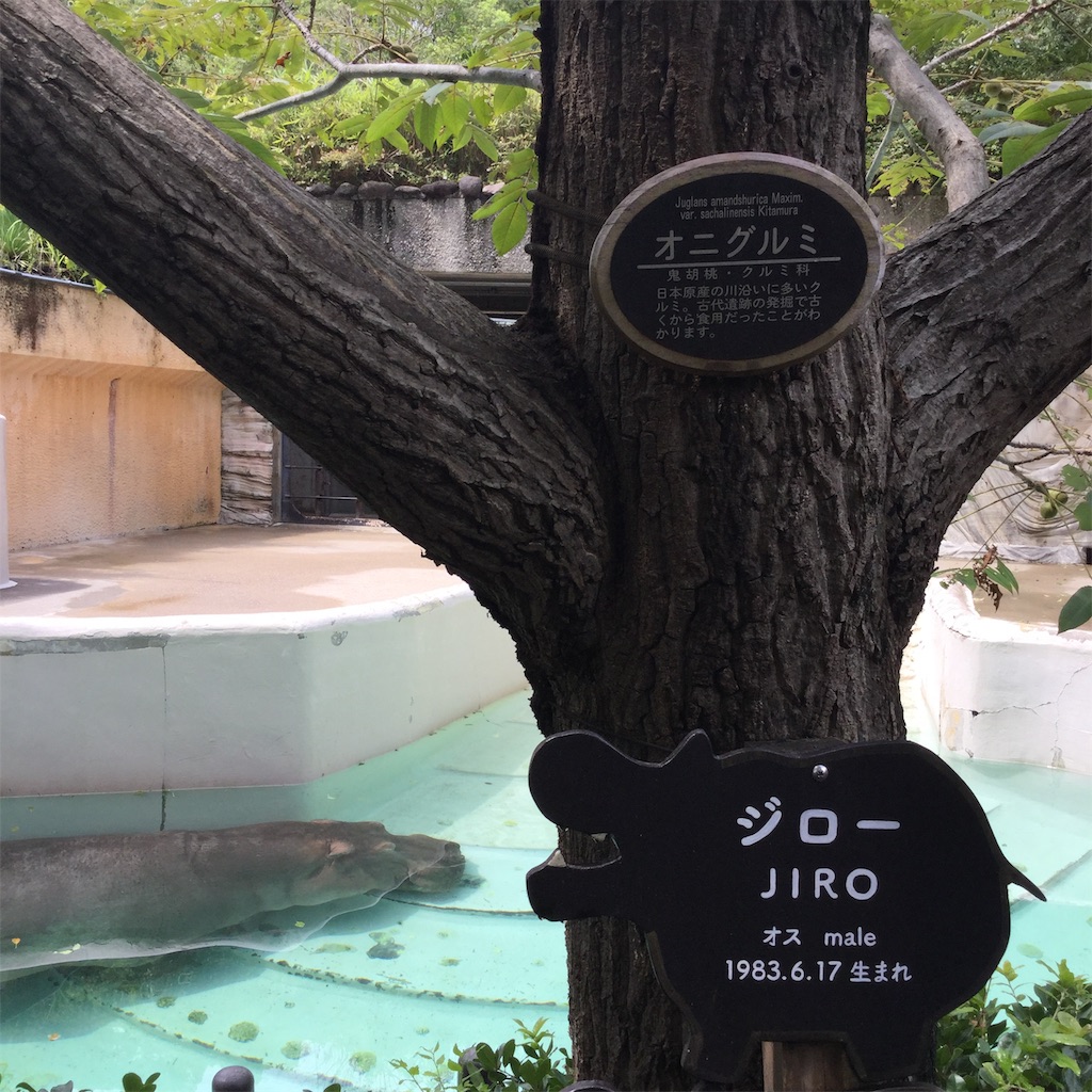 f:id:tsumetaimizuburo:20190827221730j:image