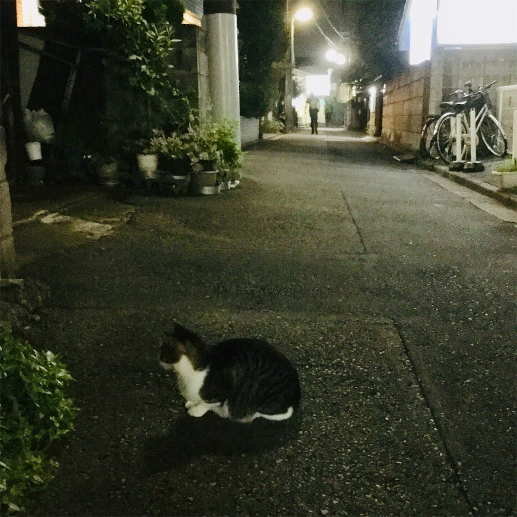 f:id:tsumetaimizuburo:20190906192921j:image f:id:tsumetaimizuburo:20190906192921j:image