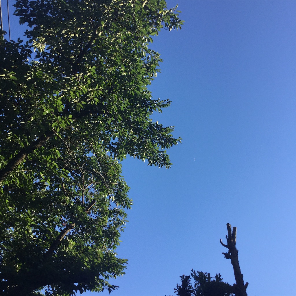 f:id:tsumetaimizuburo:20190915221442j:image f:id:tsumetaimizuburo:20190915221442j:image