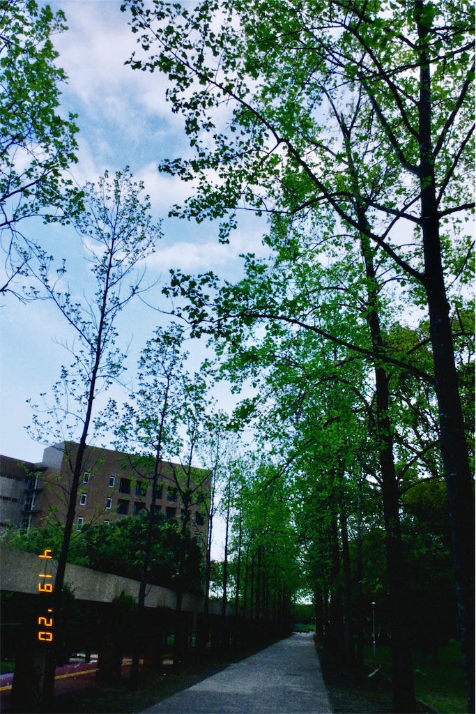 f:id:tsumetaimizuburo:20200419234848j:image