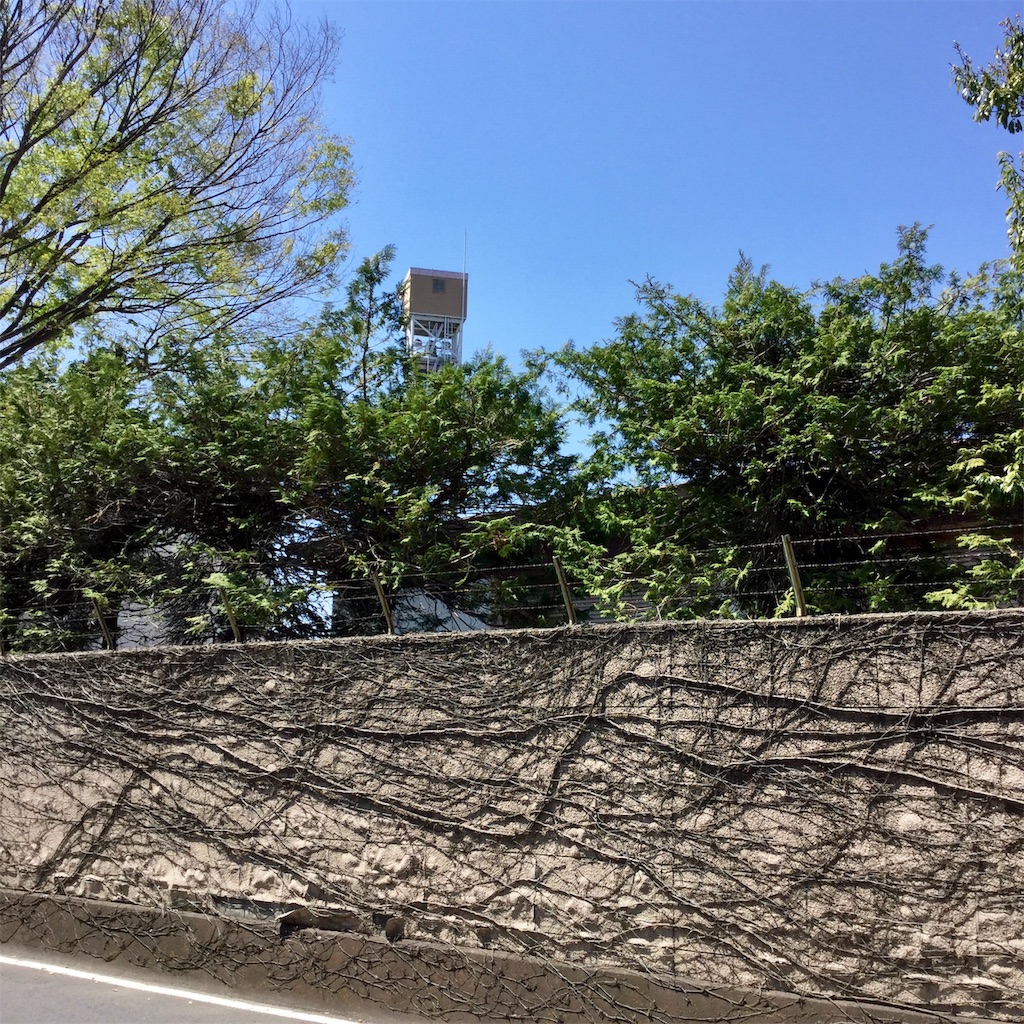 f:id:tsumetaimizuburo:20200425212921j:image