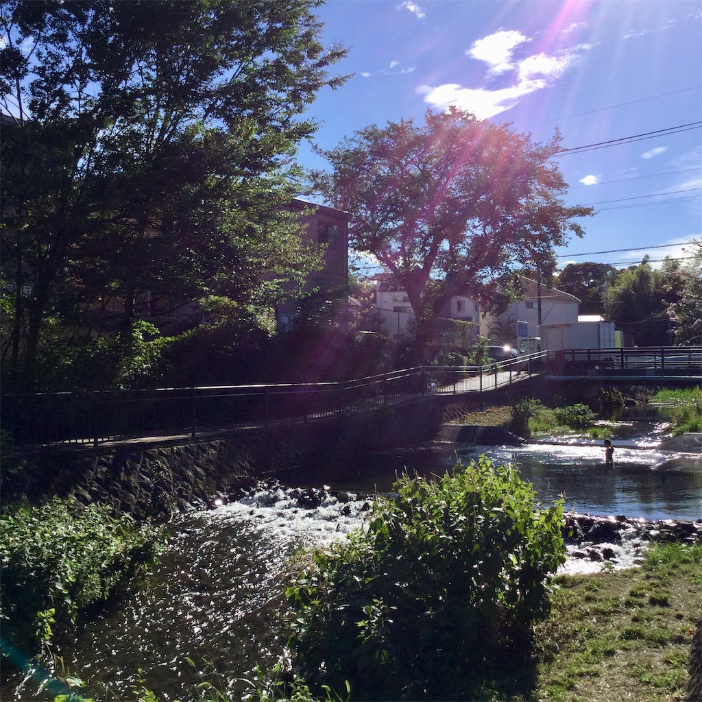 f:id:tsumetaimizuburo:20200912214337j:image