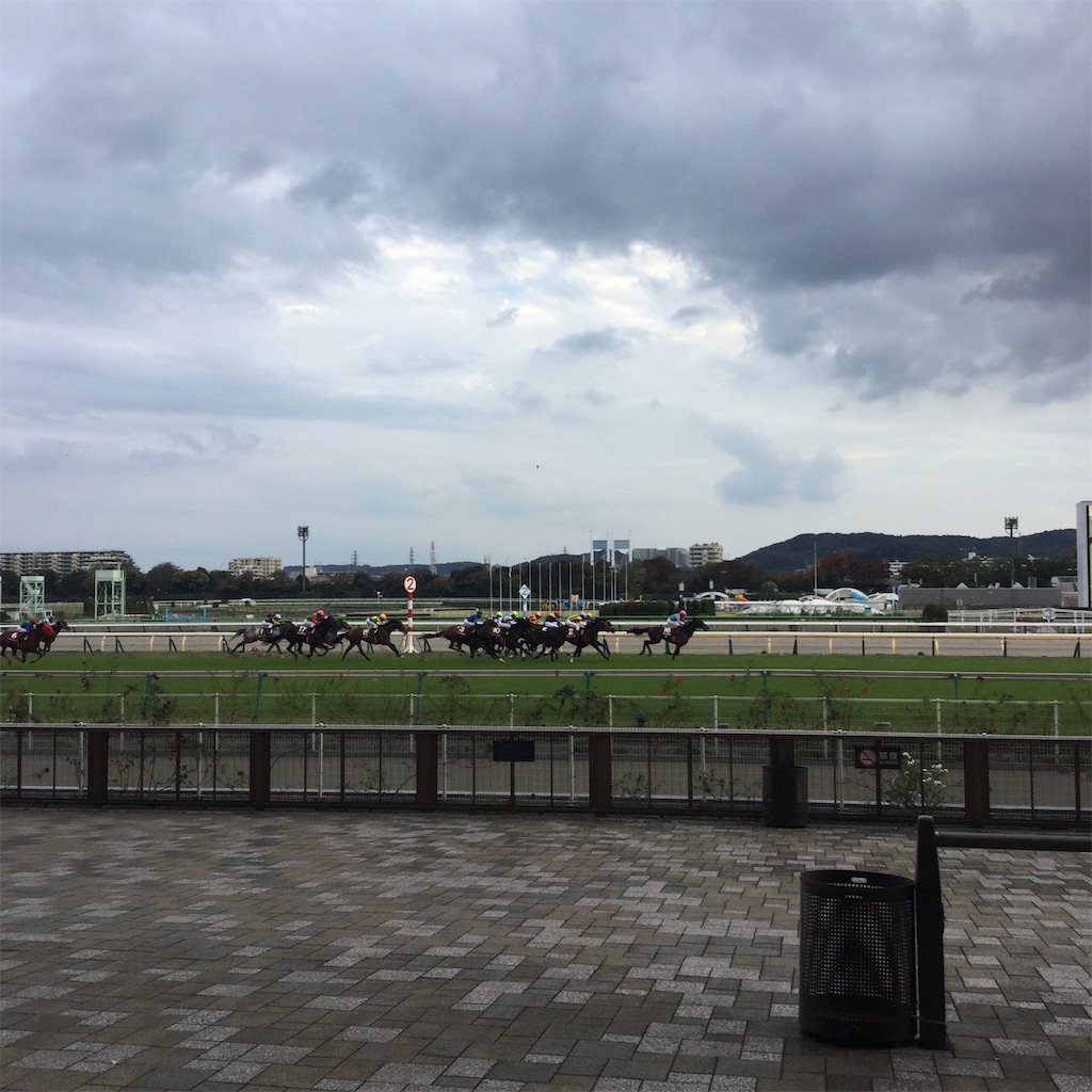 東京競馬場で逢おう アルゼンチン共和国杯 府中白糸台日記