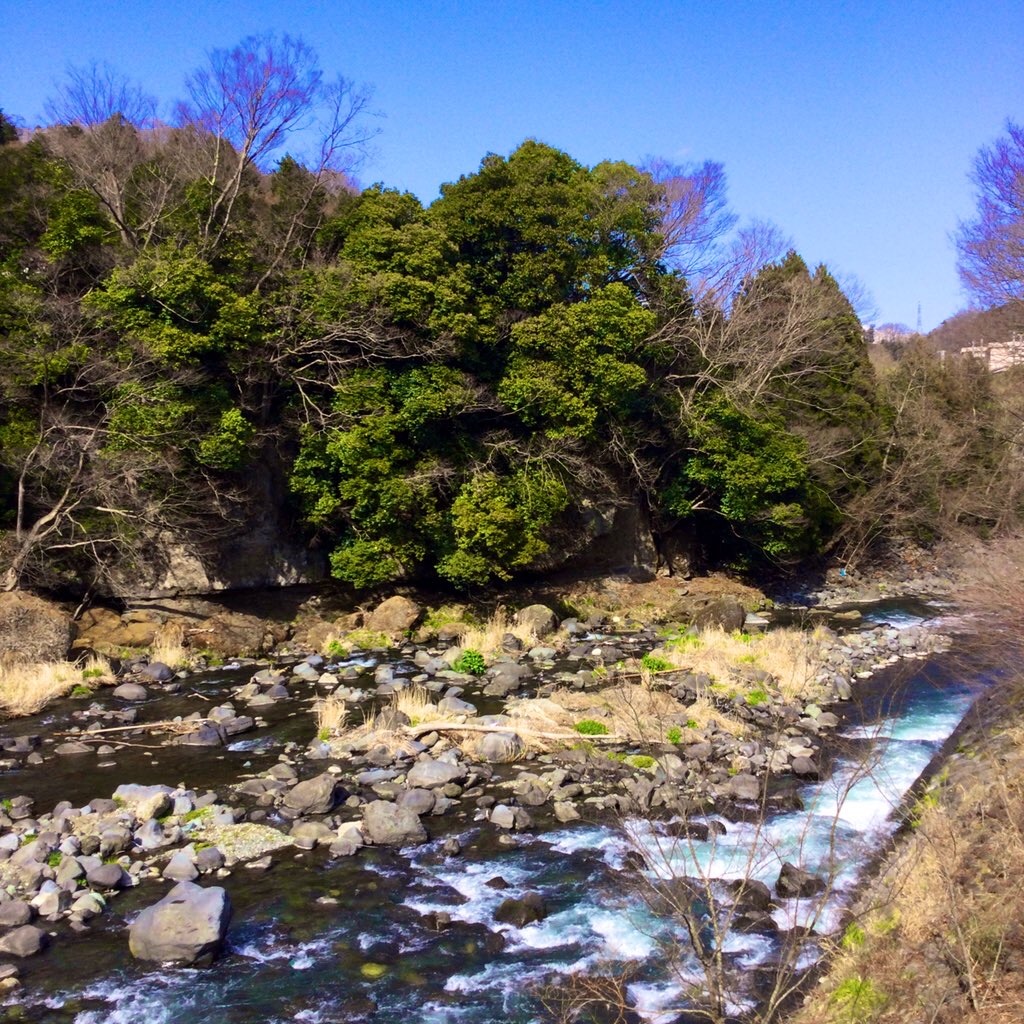 f:id:tsumetaimizuburo:20210324002050j:image f:id:tsumetaimizuburo:20210324002050j:image