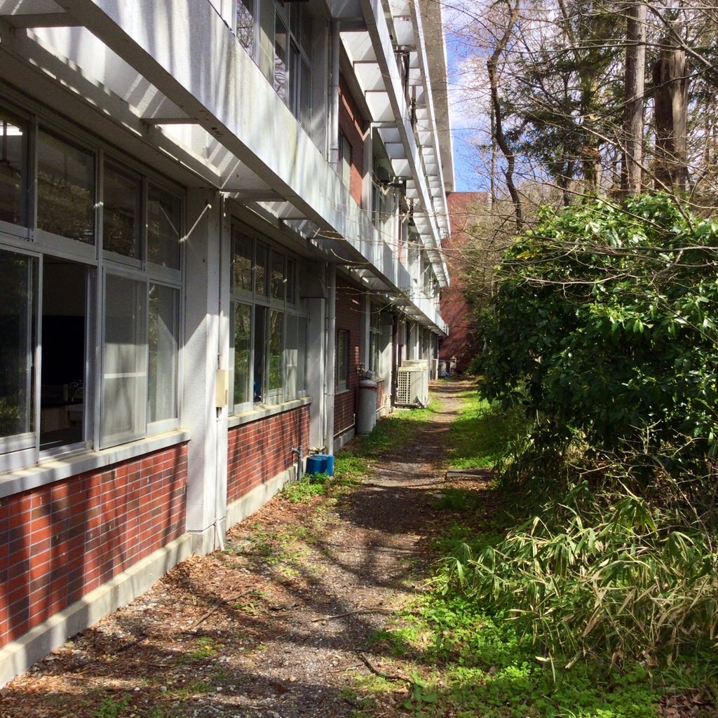 f:id:tsumetaimizuburo:20210324002128j:image f:id:tsumetaimizuburo:20210324002128j:image