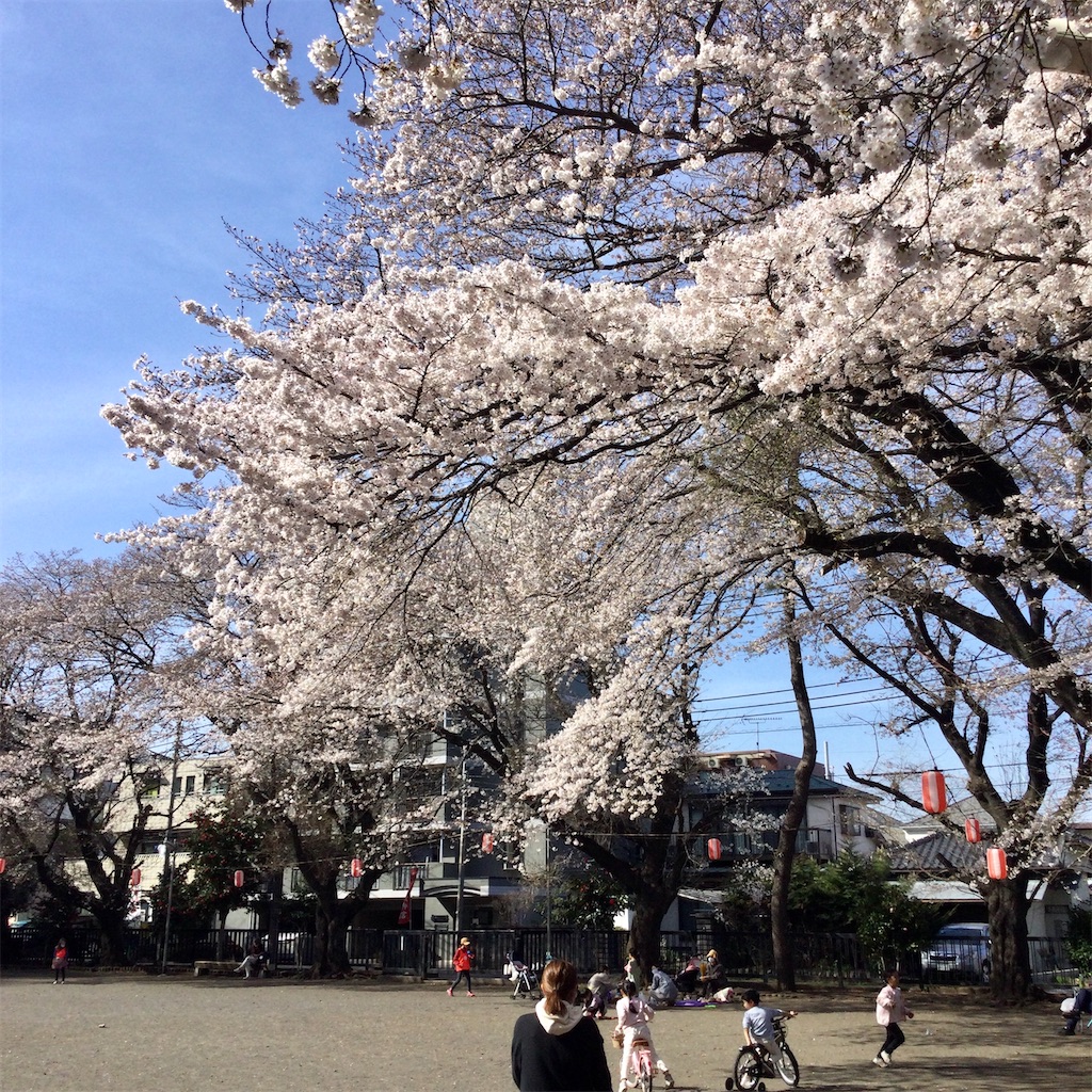 f:id:tsumetaimizuburo:20210324232721j:image f:id:tsumetaimizuburo:20210324232721j:image