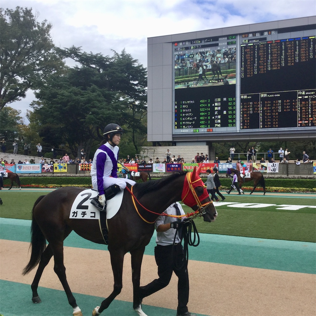 f:id:tsumetaimizuburo:20210926185517j:image