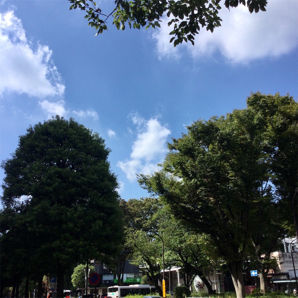 f:id:tsumetaimizuburo:20211006183456j:image f:id:tsumetaimizuburo:20211006183456j:image