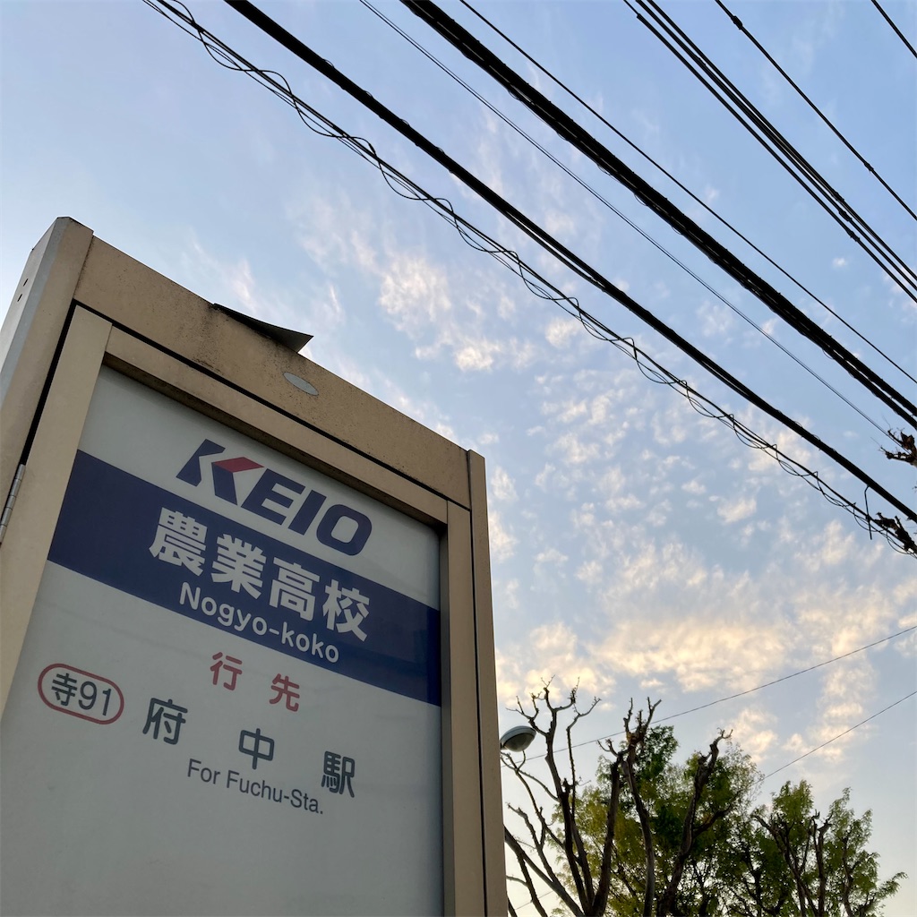 f:id:tsumetaimizuburo:20220417060604j:image