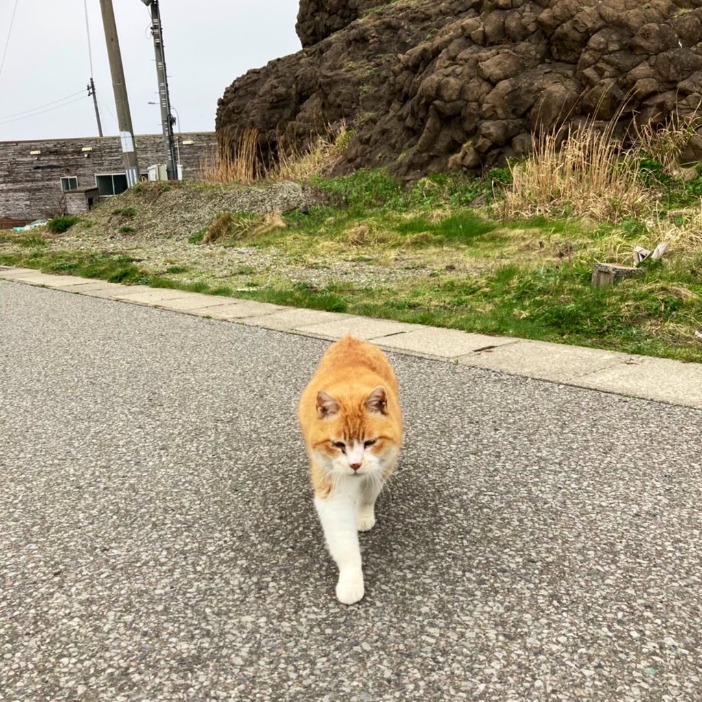 f:id:tsumetaimizuburo:20220921223557j:image