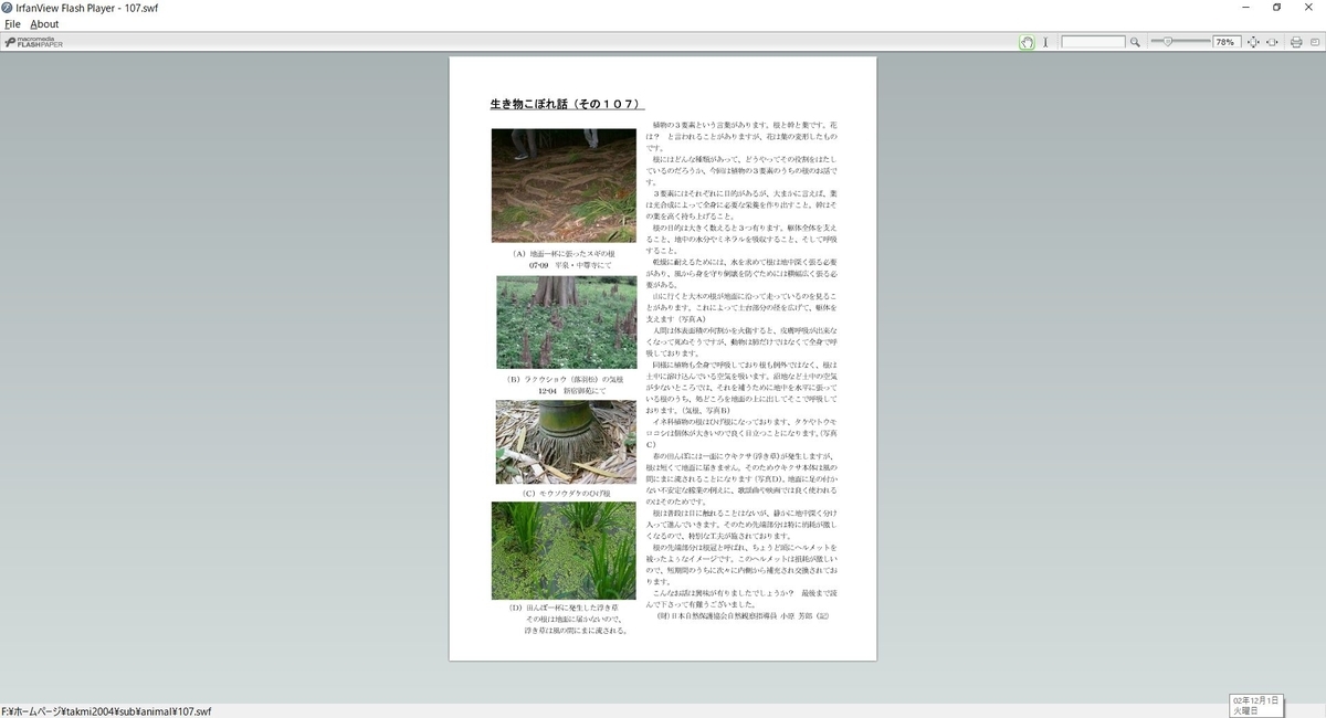 f:id:tsumikasane3:20201201194310j:plain