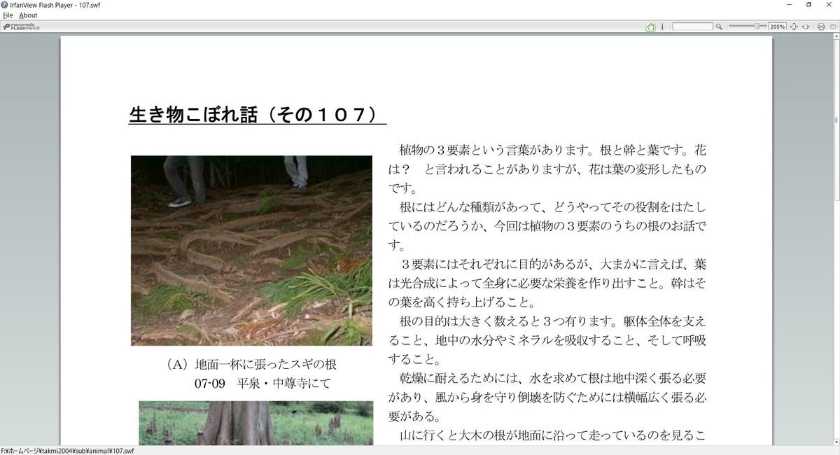 f:id:tsumikasane3:20201201194329j:plain