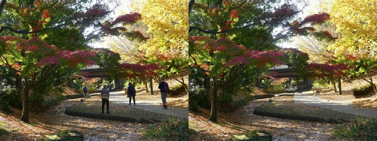 f:id:tsumikasane3:20201206200905j:plain