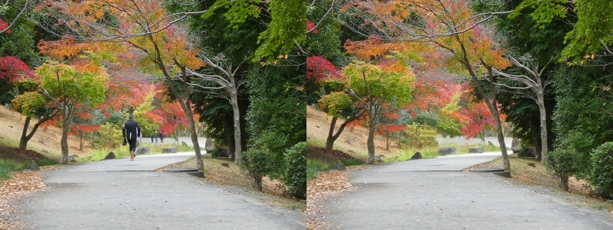 f:id:tsumikasane3:20201206200947j:plain