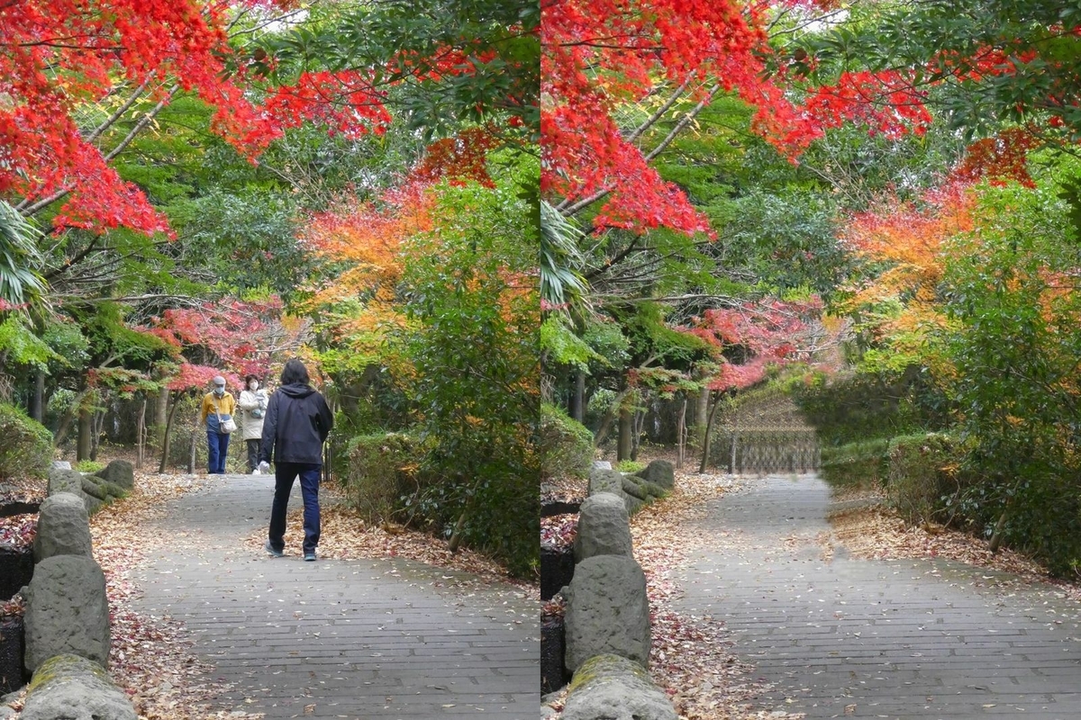 f:id:tsumikasane3:20201206201814j:plain