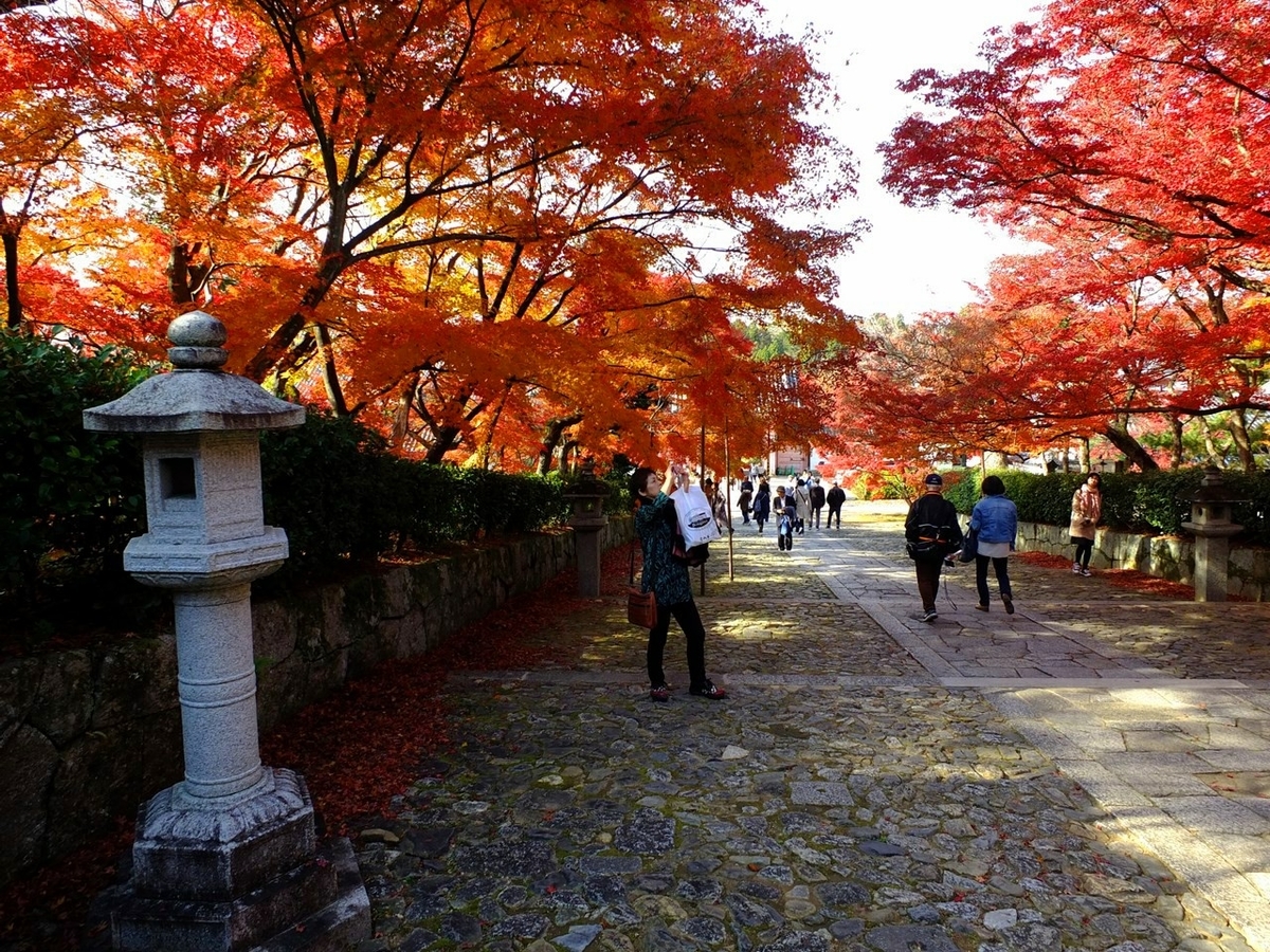 f:id:tsumikasane3:20201213210556j:plain