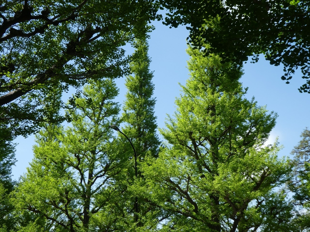 f:id:tsumikasane3:20210415171304j:plain