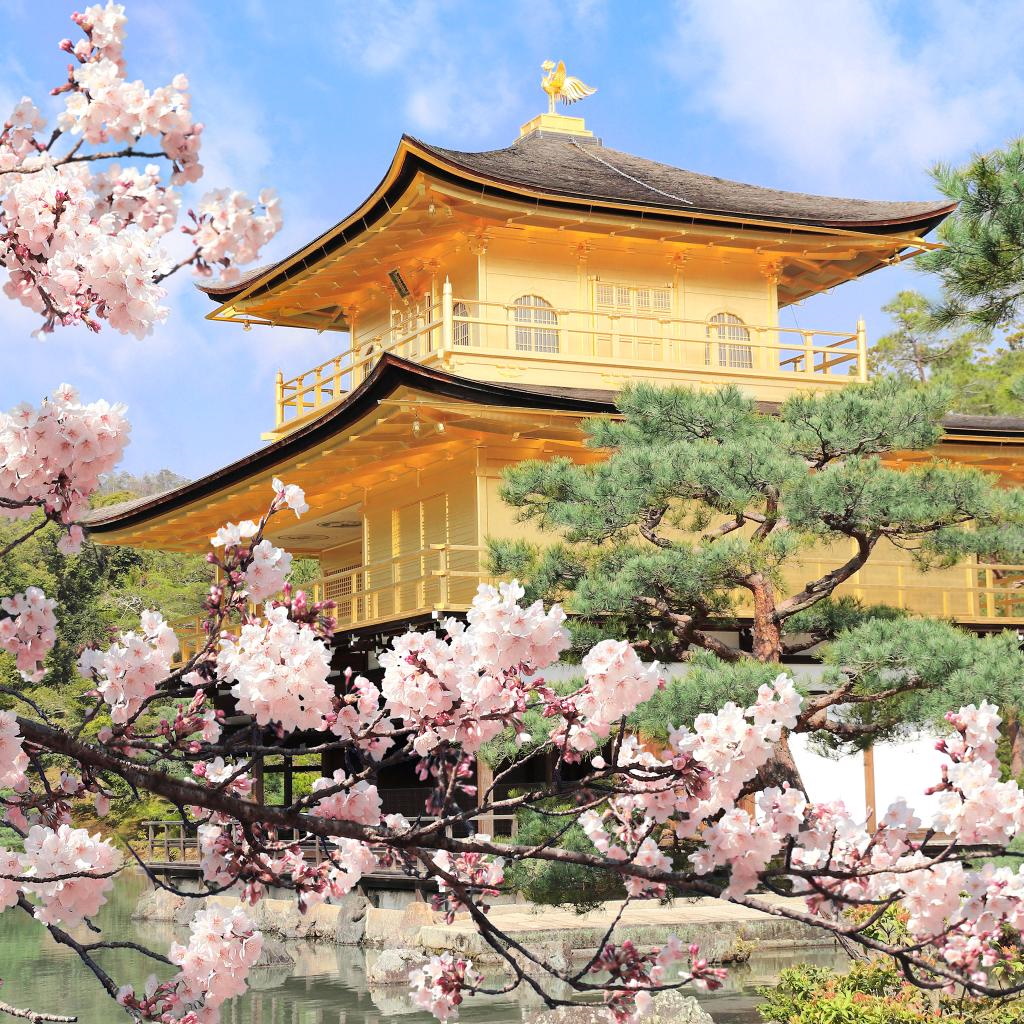 f:id:tsumikasane3:20210530122929j:plain