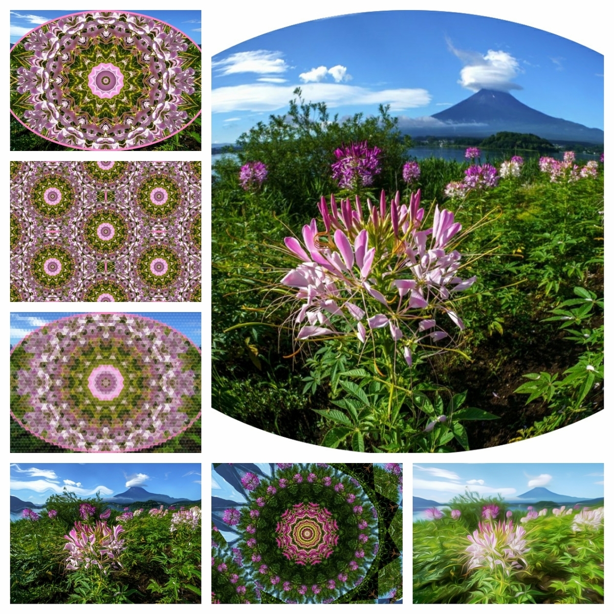 f:id:tsumikasane3:20211004164039j:plain