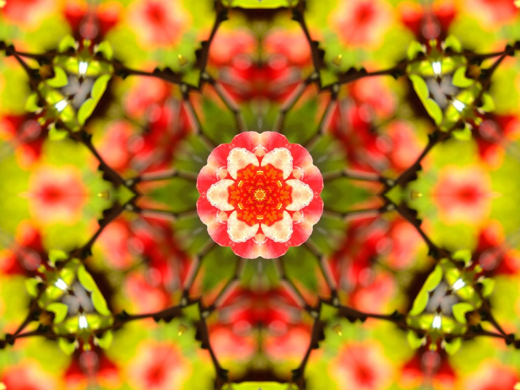 f:id:tsumikasane3:20211022192549j:plain