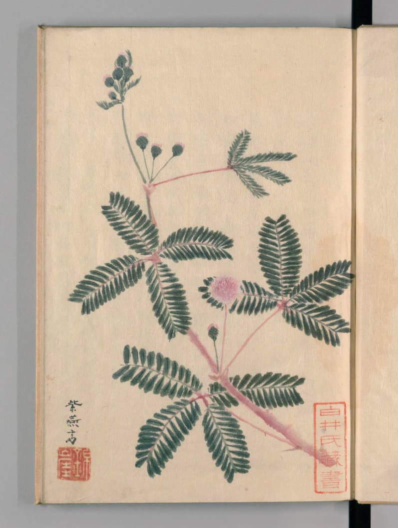 f:id:tsumikasane3:20220125220343j:plain