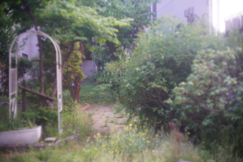 f:id:tsumucame:20190618182152j:plain f:id:tsumucame:20190618182152j:plain