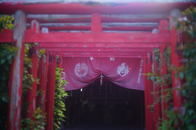 f:id:tsumucame:20190618182235j:plain f:id:tsumucame:20190618182235j:plain