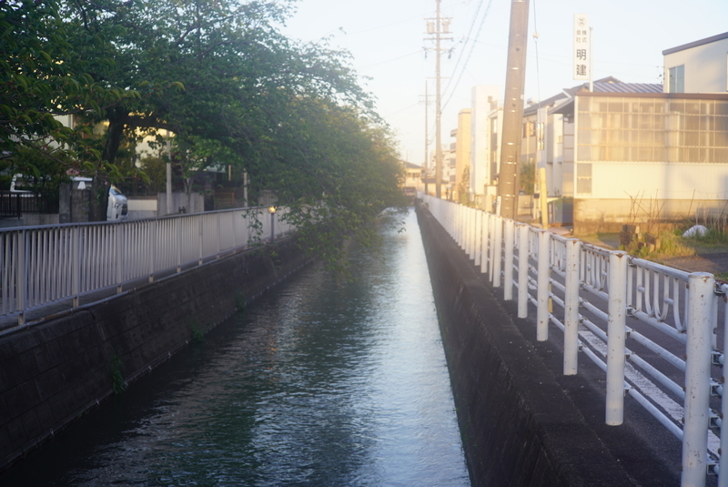 f:id:tsumucame:20190618183225j:plain f:id:tsumucame:20190618183225j:plain
