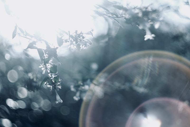 f:id:tsumucame:20191012132012j:plain f:id:tsumucame:20191012132012j:plain