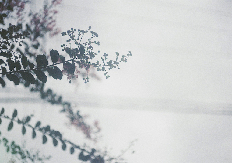 f:id:tsumucame:20191019160232j:plain f:id:tsumucame:20191019160232j:plain