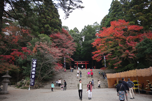 f:id:tsumuchan:20181216141258j:plain f:id:tsumuchan:20181216141258j:plain