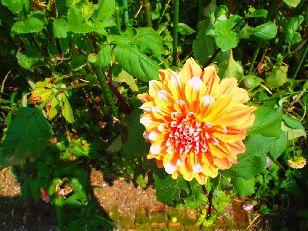 f:id:tsumugi0:20180930071755j:plain