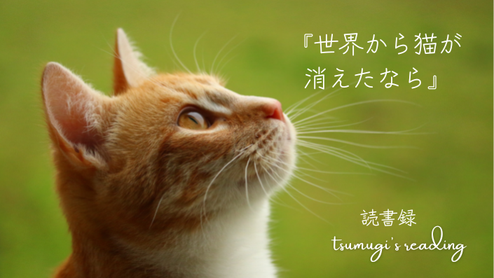 人生を変える言葉との出会い ウィリアム ジェームズの名言5選 Tsumugi S Reading 人生を変える言葉との出会い ウィリアム ジェームズの名言5選 Tsumugi S Reading