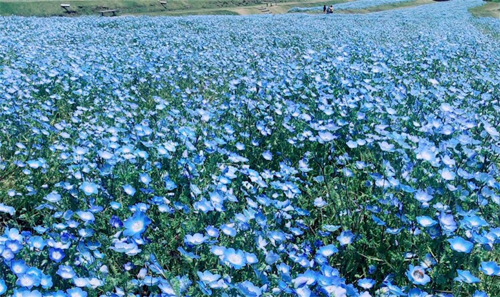 f:id:tsumugi321:20200904213844j:image f:id:tsumugi321:20200904213844j:image