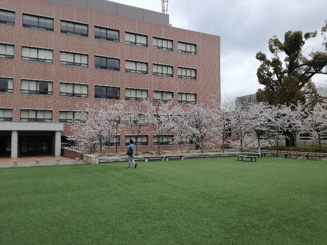 f:id:tsumugidayo:20170410192809j:image f:id:tsumugidayo:20170410192809j:image