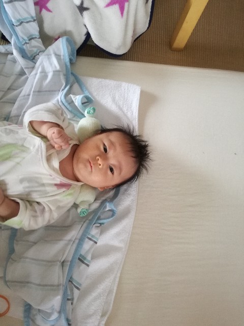f:id:tsumugidayo:20170412191253j:image f:id:tsumugidayo:20170412191253j:image