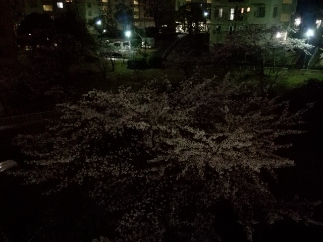 f:id:tsumugidayo:20170412191701j:image f:id:tsumugidayo:20170412191701j:image