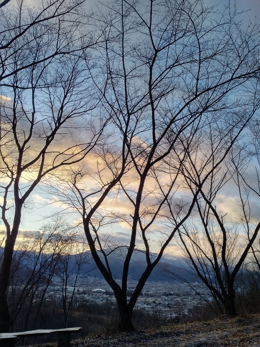 f:id:tsumuguya:20200214115451j:plain f:id:tsumuguya:20200214115451j:plain